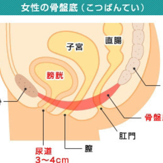 尿もれ対策ベリーエクササイズオンラインレッスン