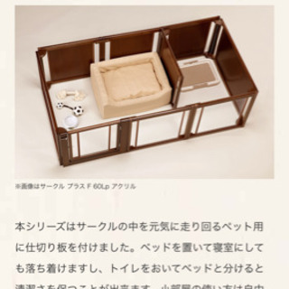 Omoinotake △不二異霊生△スペシャルピアノリサイタルCD