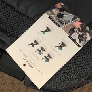受付終了【ほとんど新品/外では未使用】クイニーザップフレックス