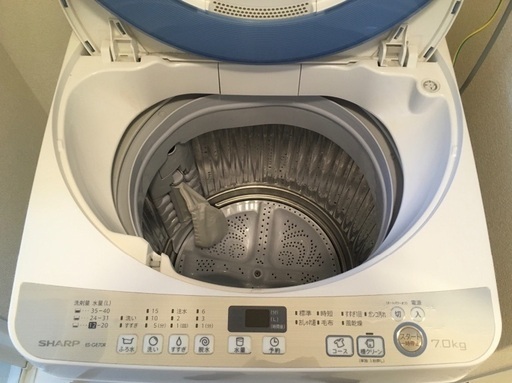 清潔穴なしドラム 簡易乾燥機能付 シャープ洗濯機 ES-GE70R-A