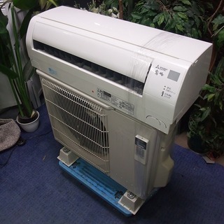 齋藤飛鳥坂口健太郎貴重な直筆サインチェキ