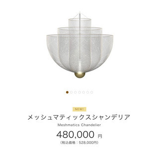 ワイヤーメッシュ製 天井照明　オランダのデザイナー【Rick Tegelaar】