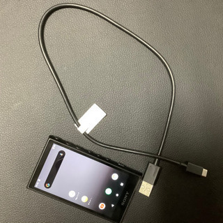 ウォークマン WALKMAN 2019年モデル NW-A106BM［イヤホンは付属してい 