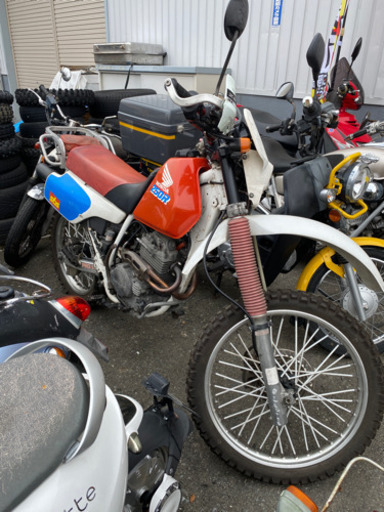 HONDA  実働　XLR250R 福岡市南区