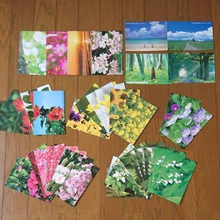 ポストカード  41枚  写真 はがき 花 風景 景色  住友生命