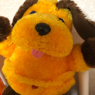 中古まんまちゃんが無料 格安で買える ジモティー 中古まんまちゃんが無料 格安で買える ジモティー