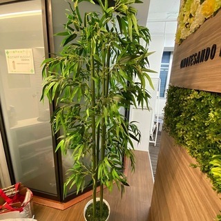 人工 観葉植物