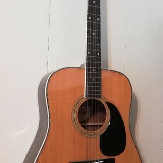 Morris W-30 Acoustic guitar 