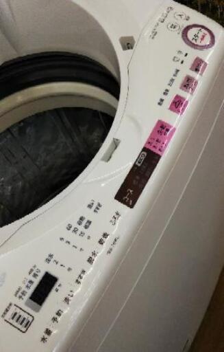 J089★6ヶ月保証★8K/4.5K洗濯乾燥機★SHARP ES-TX8A-P 2016年製★良品