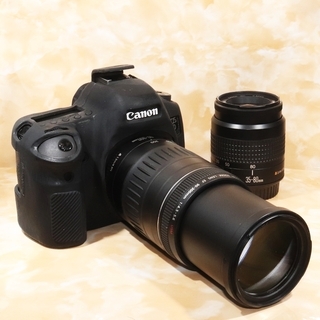 ◇超極上美品◇キヤノン EOS 6D 超望遠300mm ダブルズームセット