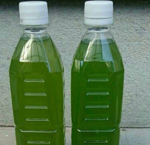 天然グリーンウォーター 青水 種水 1ℓ らん 横浜のその他の中古あげます 譲ります ジモティーで不用品の処分 天然グリーンウォーター 青水 種水 1ℓ らん 横浜のその他の中古あげます 譲ります ジモティーで不用品の処分