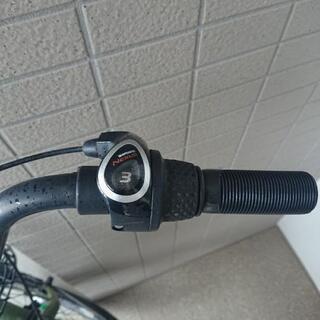 自転車 非電動 子供乗せ自転車/ビルゴティノ