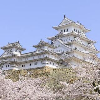 明日、姫路城に行きませんか？😊