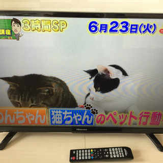 【美品】テレビ