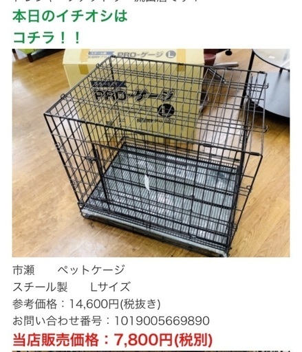 スチール製 ペットゲージ Lサイズ