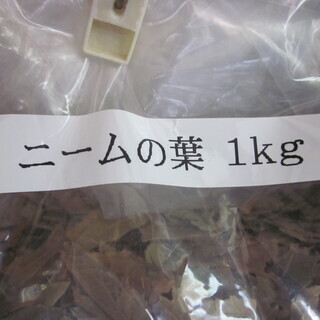ニーム乾燥葉７００ｇくらい虫よけを作ろう ねこ 東小金井の家庭用品 害虫駆除 虫よけ の中古あげます 譲ります ジモティーで不用品の処分
