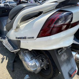 SUZUKI  スカイウェブ250 CJ43 セル始動　福岡市南区