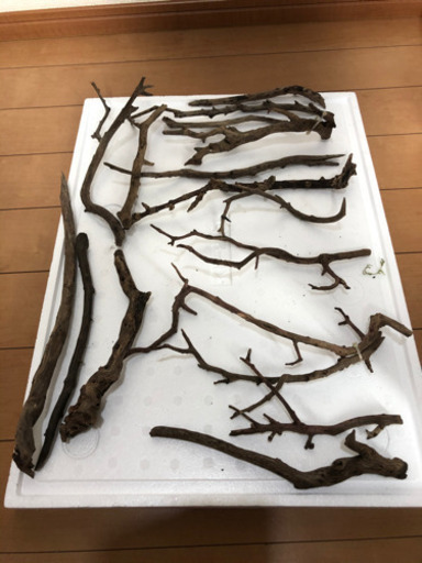 枝流木17本セット値下げ 熱帯魚水槽 コリ親 井野のその他の中古あげます 譲ります ジモティーで不用品の処分 枝流木17本セット値下げ 熱帯魚水槽 コリ親 井野のその他の中古あげます 譲ります ジモティーで不用品の処分