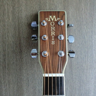 美品 Morris TF-50SP ハカランダ材使用 【値下げ:24,000円➡22,000円