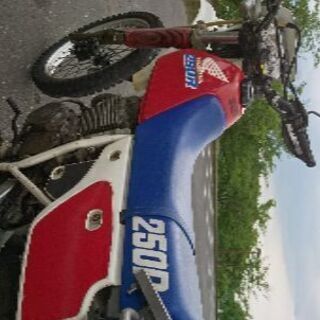 XLR250R 走ります。