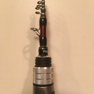 Fishman Beams Xpan4.3LTS美品