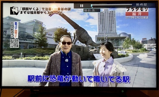 液晶テレビ TOSHIBA REGZA 40S10