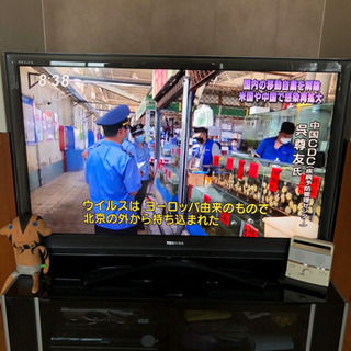 52型　REGZA  TOSHIBA テレビとテレビ台
