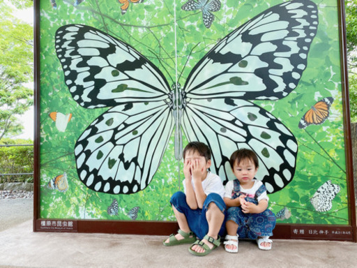 新幹線チケット譲って下さい 新大阪 東京 だいち 大阪の手伝いたい 助けたいの助け合い ジモティー