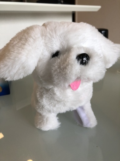 ポポちゃん