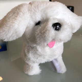 でんぼちゃん Amazon | ぽぽちゃん お道具 ぽぽちゃん・ちいぽぽちゃんの お洗たく