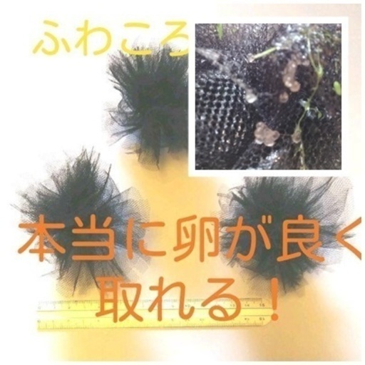 メダカ沈降型ふわころ産卵床 ちゃぶ 浅草橋のその他の中古あげます 譲ります ジモティーで不用品の処分