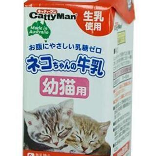 仔猫用ミルク5本
