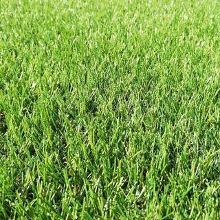 新品、未開封】カインズリアル人工芝 2m×10m