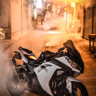 値下げしました！Ninja250/300 10R風 フロントマスク スクリーン