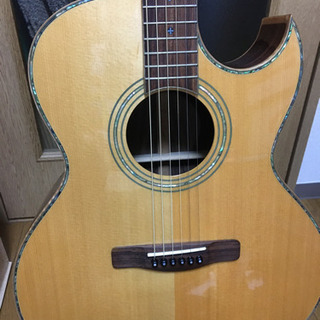 弦楽器、ギター Greg bennett エレアコ ASJR-CE おまけ付き