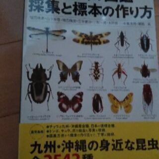 昆虫標本の本