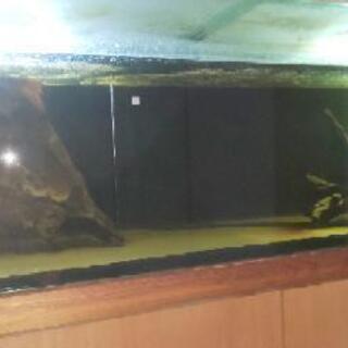 【受付停止中！お取引中】大型水槽 ガラス フルセット 幅1800 × 奥行600  高さ600