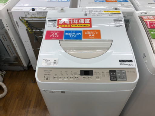安心の12ヶ月保証　2019年　5.5kg縦型乾燥機能付洗濯機　SHARP ES-t5CBK