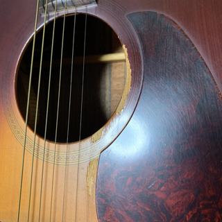 タカミネ エレアコ NPT-012 BS 赤プリ 長渕剛