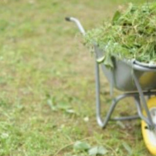 草刈り補助、草の片づけ、掃き掃除 - 軽作業