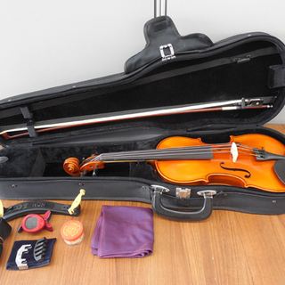 バイオリン Andreas Eastman VL80 4/4 2...