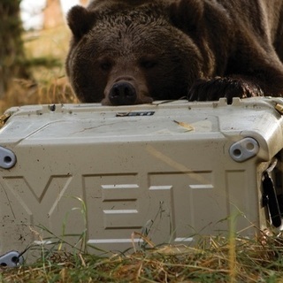 【超美品】イエティ　クーラーBOX