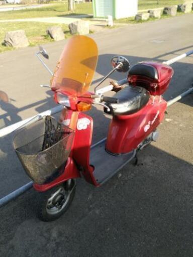 スズキ蘭