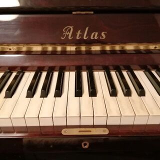 【均整良杢優音】ピグマリウス S-116 4/4 バイオリン 1990 均整良杢優音】ピグマリウス S-116 4/4 バイオリン 1990