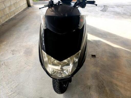 マグザム　250
