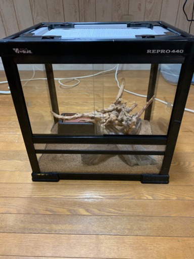 爬虫類飼育セット