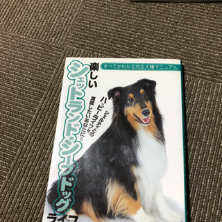 犬の本 シープドック