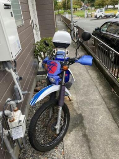 XL  degree  HONDA  ホンダ
