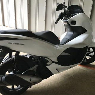 HONDA PCX新型（現行機種）JF81 カラー；ジャスミンホワイト保証あり！