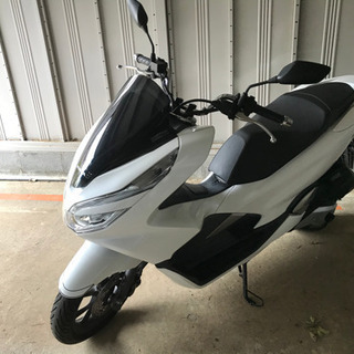 HONDA PCX新型（現行機種）JF81 カラー；ジャスミンホ...